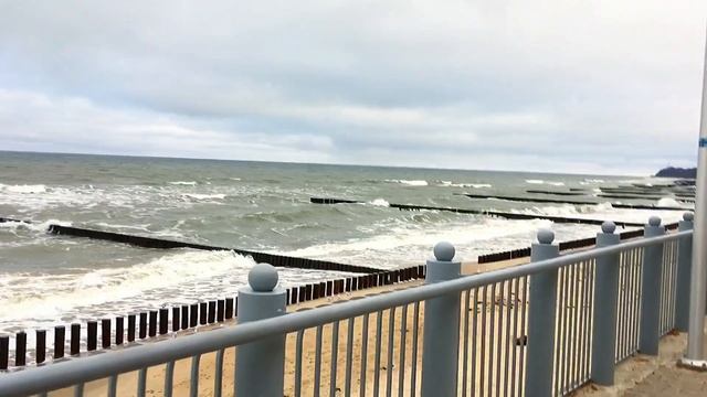 КАЛИНИНГРАД-СВЕТЛОГОРСК смотреть онлайн