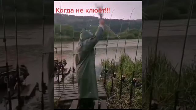 Случай на рыбалке! #прикол #рыбалка