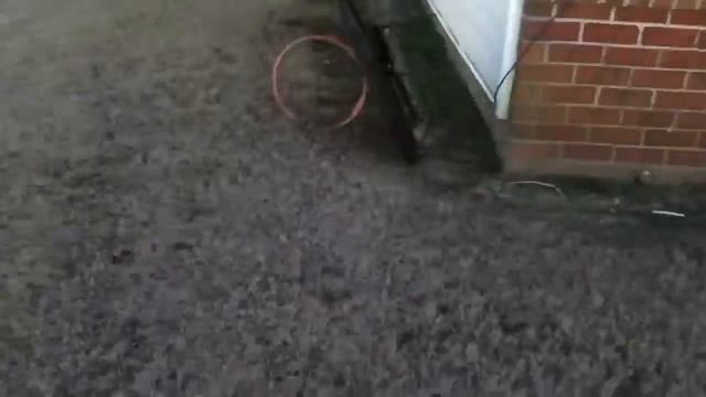 Lil boy rides a dirt bike смотреть онлайн