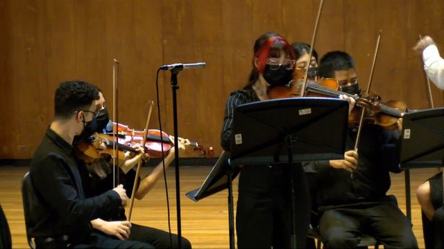 Beethoven 7.30 Ensamble de musica de camara Cuerda frotada смотреть онлайн