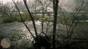 Белохвостый олень самец (white tailed deer male) Red Dead Redemption 2