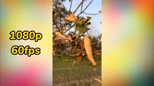 iphone xr camera test|iphone xr camera test in 2024