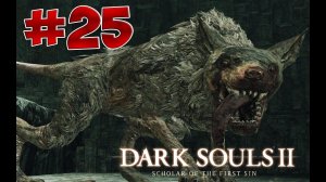 Dark Souls 2 SotFS - Полный Гайд. Прохождение, Секреты и ЛОР. Часть 25. Командир Крысиной Гвардии