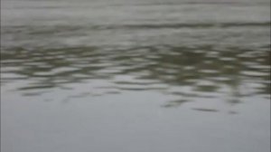 Рыбалка на Дону