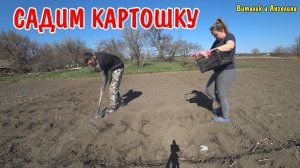 ПОСАДИЛИ КАРТОШКУ / КУПИЛИ КАСТРЮЛЮ / ПОКУПКИ ДЛЯ РЕМОНТА / ОБЗОР