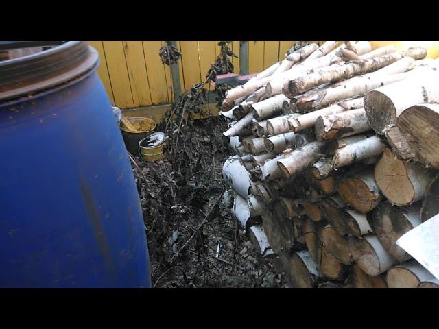 Как Уничтожить Лесную Поросль на Участке смотреть онлайн