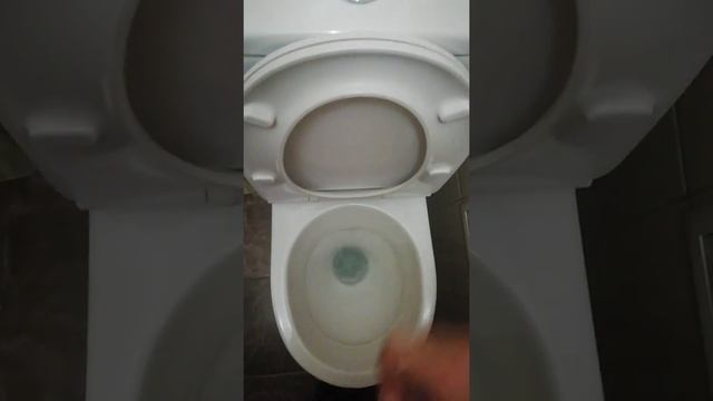 Унитаз-компакт Iddis Mirro MIR2DSEi24/Soft Close в действии смотреть онлайн