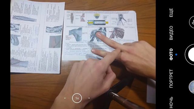 Подмышечная область. Подмышечная полость. Канал лучевого нерва. Борозды плеча. Анатомия и содержимо