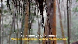 SHOLAWAT JIBRIL PENARIK REJEKI 99 MENIT DENGAN SUARA KICAU BURUNG | RABU PAGI