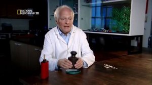 Чудеса инженерии  Телескоп