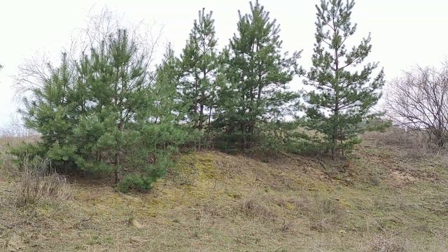 Законы кармы, о которых должен знать каждый...