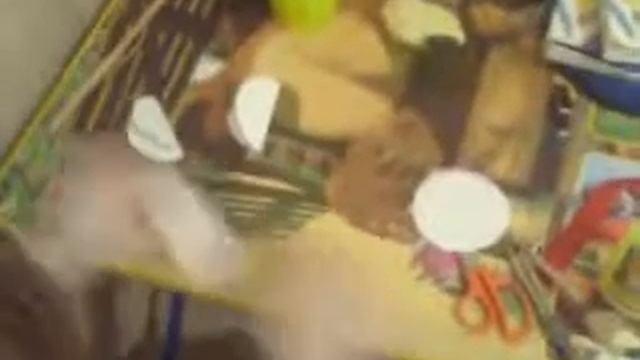 Моя первая поделка смотреть онлайн