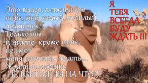 Мелодия из фильма Цыган