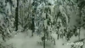 Травмы Людмилы Дубининой. +мнение судмедэксперта Э. Туманова.