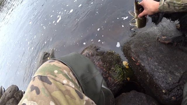 СЕВЕРНАЯ КАРЕЛИЯ / РЫБАЛКА НА КОЛЕБАЛКУ / ЖОР Трофейной Щуки