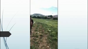 ЖЕРЕБЕЦ АБИД КРОЕТ ВСЕХ ПОДРЯД.