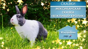 #СмотриДома | Мексиканская сказка «Вежливый кролик» | Сказки на ночь