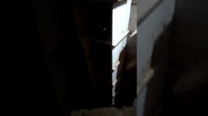 Гнездовые полки, обустройство моей голубятни.