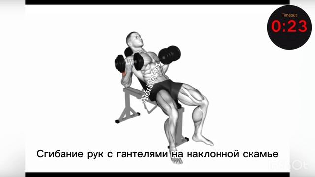 ТРЕНИРОВКА НА БИЦЕПС В ТРЕНАЖЕРНОМ ЗАЛЕ