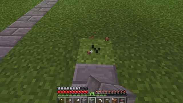 Minecraft Windows 10 Edition Beta Making Paths смотреть онлайн