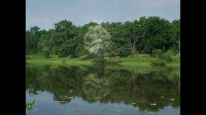 Рассвет-чародей ВИА "Пламя"