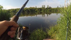 Рыбалка на карася на фидер в июне
