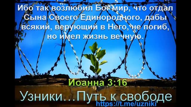 Свидетельство Абрам Германия 2020 смотреть онлайн