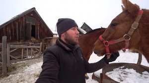 КУПИЛИ ДОМ В ДЕРЕВНЕ. ЖИВЕМ И УЛУЧШАЕМ НАШУ ЖИЗНЬ. ДЕЛАЮ УДОБСТВА В ДОМЕ. ЖИЗНЬ В ДЕРЕВНЕ