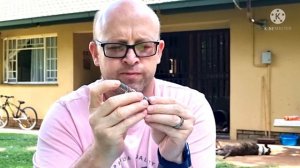 Artemis CP2/Diana Chaser ULTIMATE GUIDE to boost FPS #CP2 #Chaser