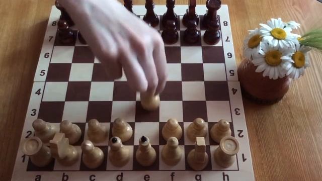 Шахматы. Как начинать игру? Дебют Понциани, венгерская защита, русская и шотландская партии.