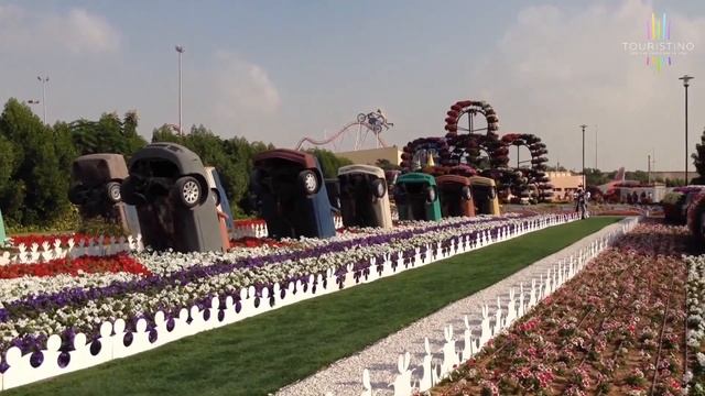 Парк Цветов в Дубае. Miracle Garden - самый большой в мире цветочный парк | Туристино