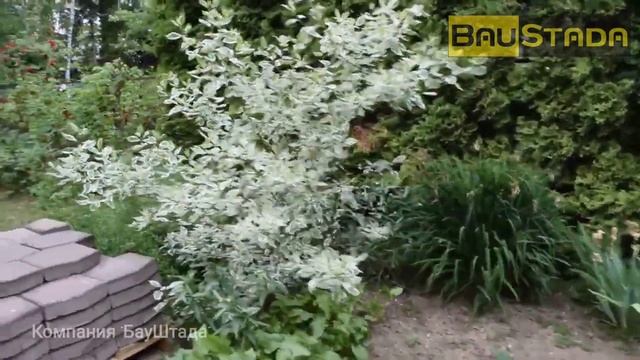 Промывка - Прочистка канализации, дренажа, ливневки. смотреть онлайн