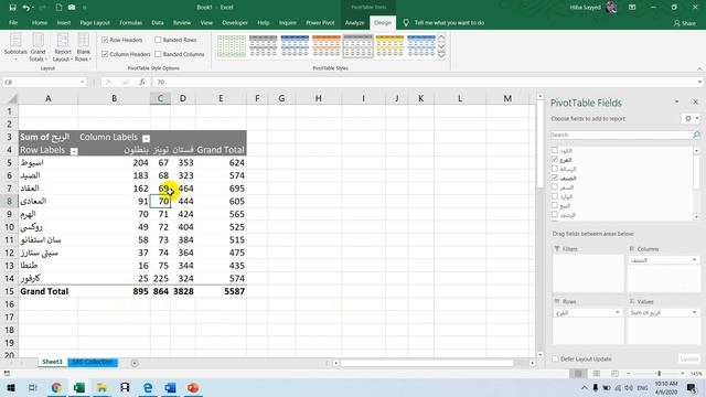 04-Session 1-C -Data Analysis Using excel PivotTable
