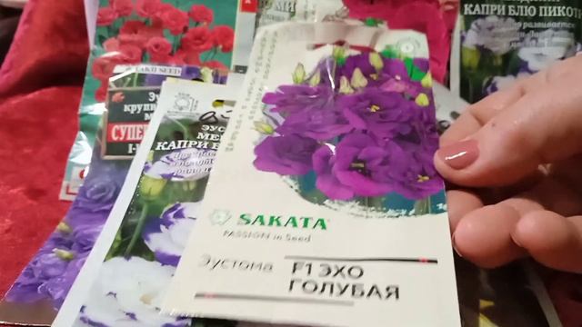 Обзор семян эустомы. Пора готовиться к посеву?