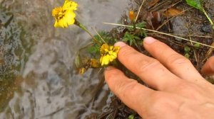 Как образуются реки))