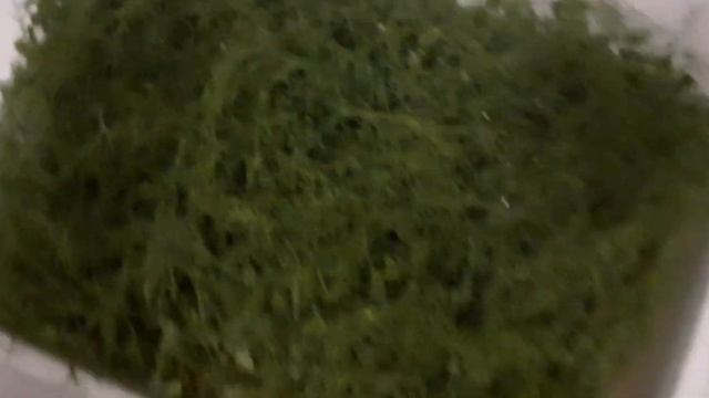 Микрозелень горошка как действует аптечная зеленка на фитопатологию. смотреть онлайн