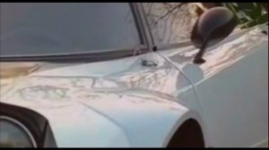 Lancia Stratos - легенда мирового ралли