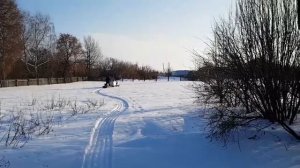 Мотобуксировщик Паксус, обзор с комментариями.