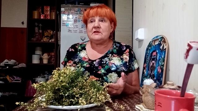 Льнянка обыкновенная. Лечим узловой зоб.