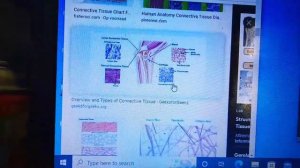 Structural organisation in animals | types of animal cell