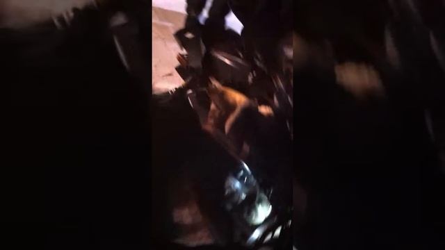 спасение ямаха апекс смотреть онлайн