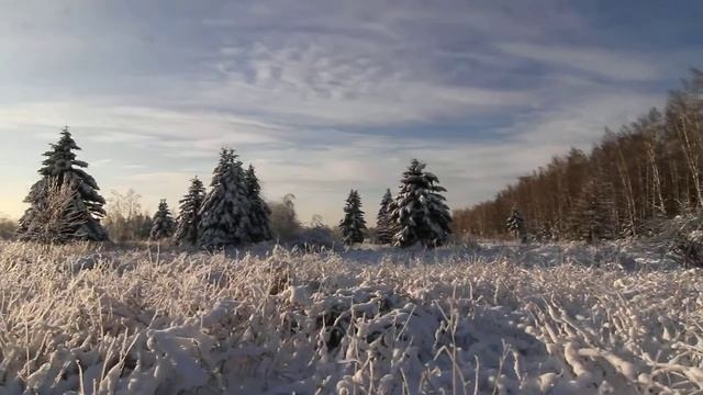 ЛОСИНКА ЗИМНЯЯ 3.avi смотреть онлайн