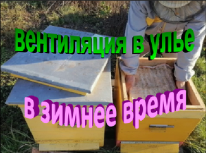 Вентиляция в улье в зимнее время