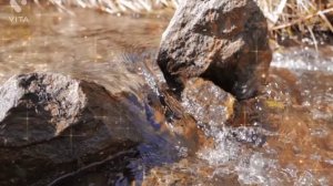 Неаполитанская песня "Санта Лючия" в исполнении Натальи Алексюк