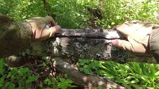 По деревяшкам!. смотреть онлайн