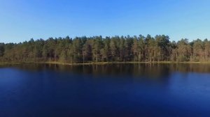 Алекс Джеб - Русский мужик