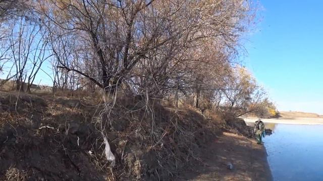 ОХОТА НА КЕКЛИКА. Река Или. 24 октября 2020г. смотреть онлайн