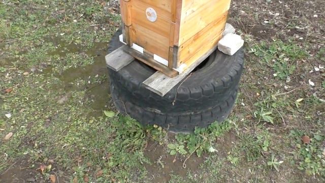 Пчеловодство 145. Оптимальный вариант зимовки