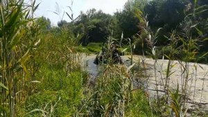 Вездеход БОРУС  - небольшой заезд.