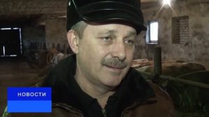 Семейная ферма